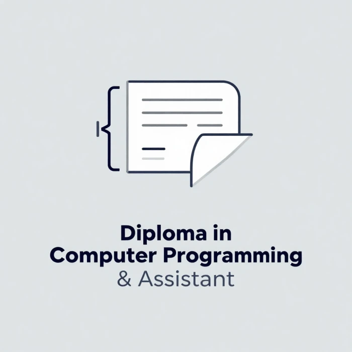 Diploma In Computer Programming & Assistant